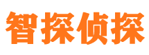 内丘找人公司